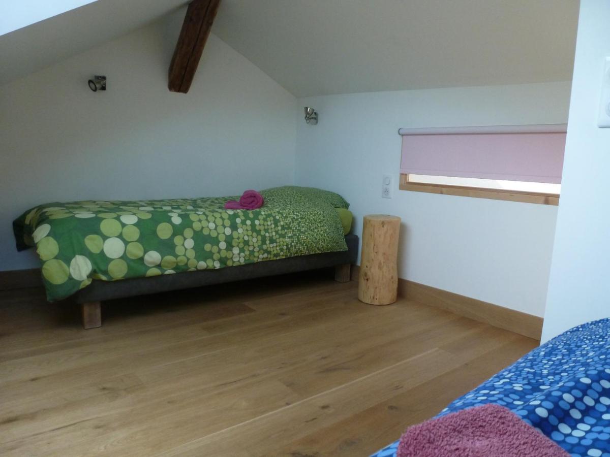 Au Cheval Blanc - Appartements Et Chambres D'Hotes Albertville Bagian luar foto