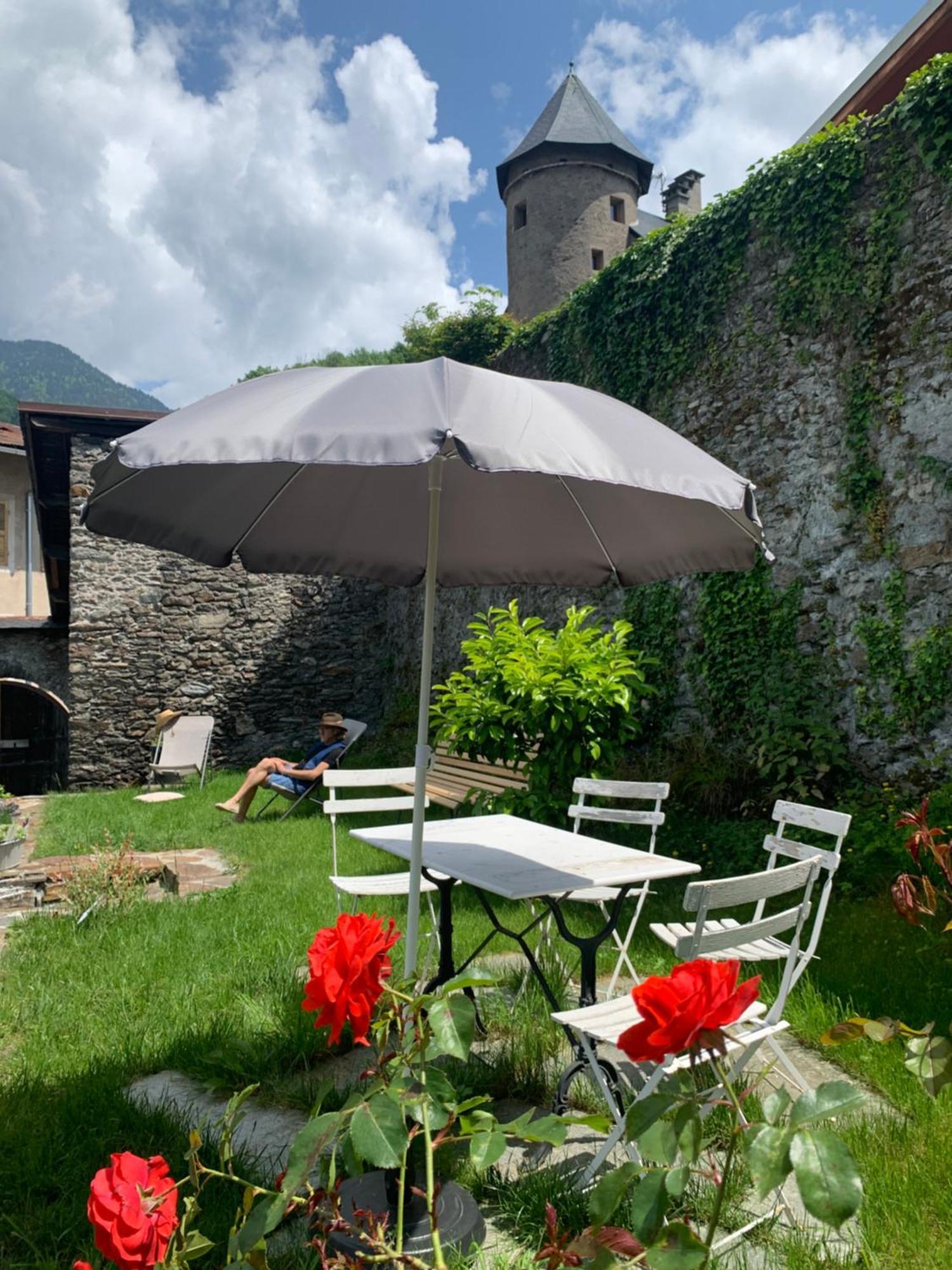 Au Cheval Blanc - Appartements Et Chambres D'Hotes Albertville Bagian luar foto